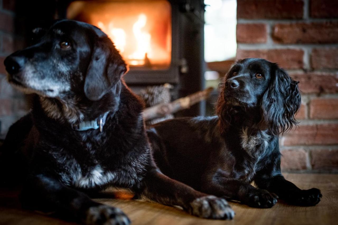 The Kings Arms Otterton Hotel บัดลีห์ ซอลเทอร์ตัน ภายนอก รูปภาพ