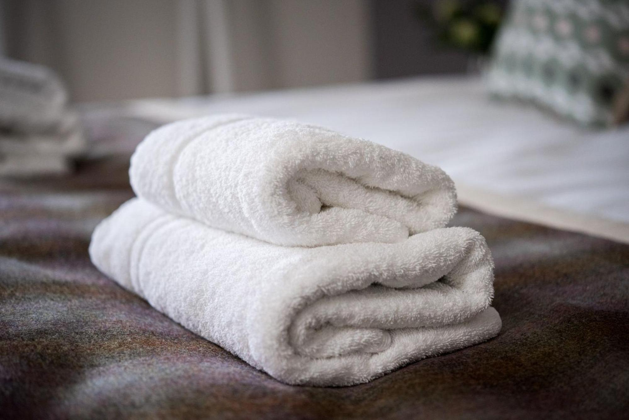 The Kings Arms Otterton Hotel บัดลีห์ ซอลเทอร์ตัน ภายนอก รูปภาพ
